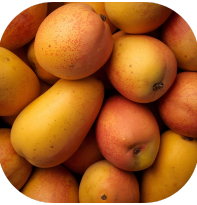 Fresh mangoes